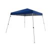 Ozark Trail 10 x 10 Instant Canopy