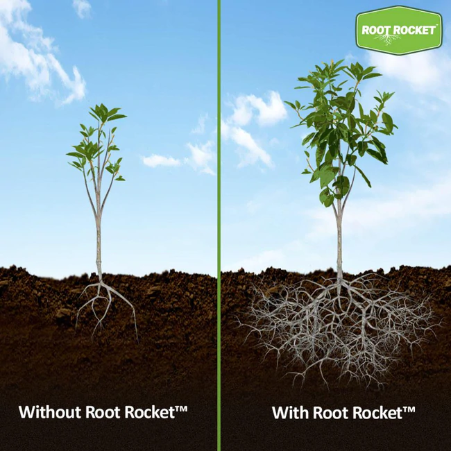 Root Rocket Fertilizer - Seek & Score