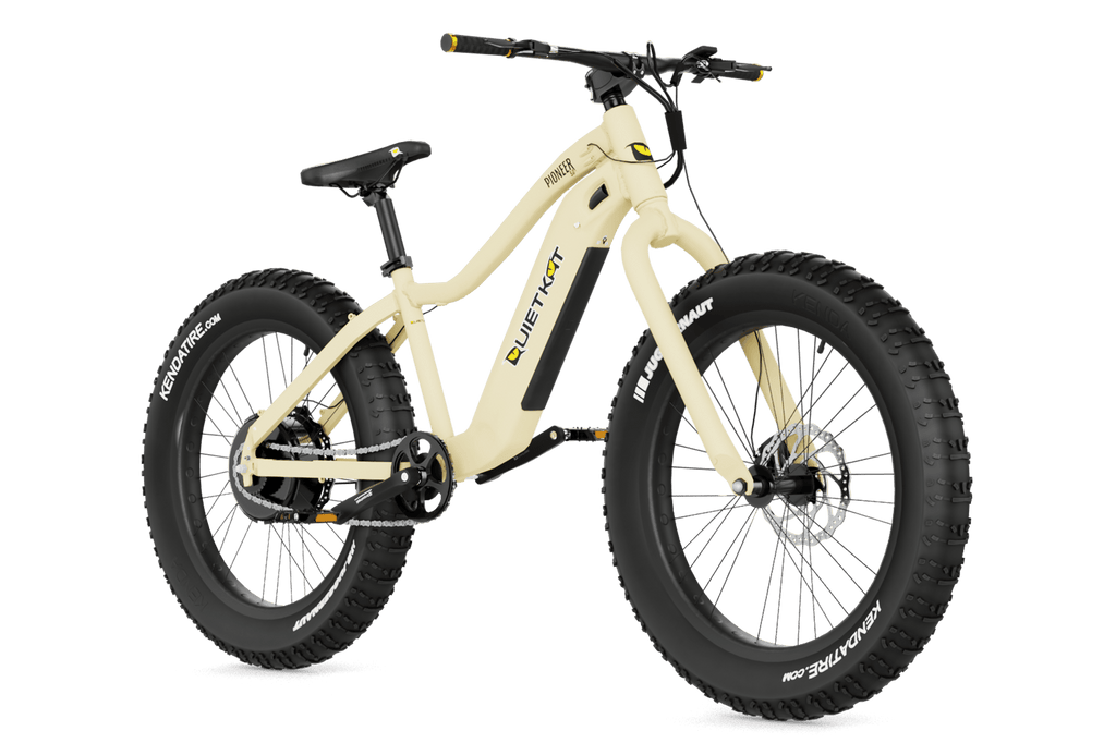 pioneer-electric-bike