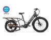 Flyer L885 Electric Bike