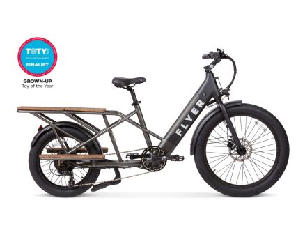 Flyer L885 Electric Bike