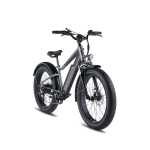 RadRover 6 Plus Fat Tire Electric Bike Charcoal