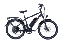 radcity 4 electric commuter bike