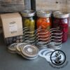 True Leaf Market Fermenting Kits