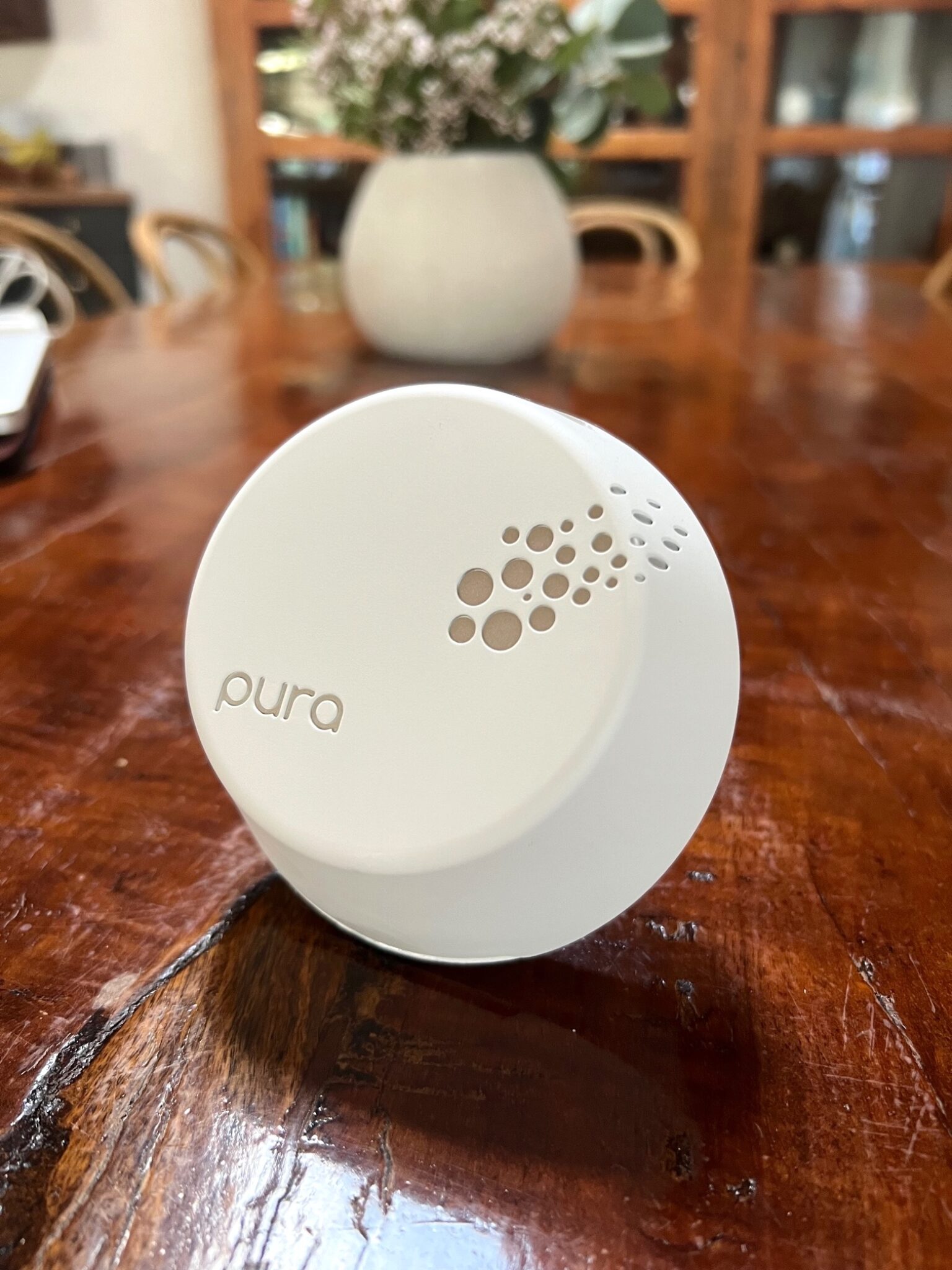 Pura Diffuser Review 2024 Seek & Score