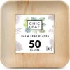 Chic Leaf Palm Leaf Plates