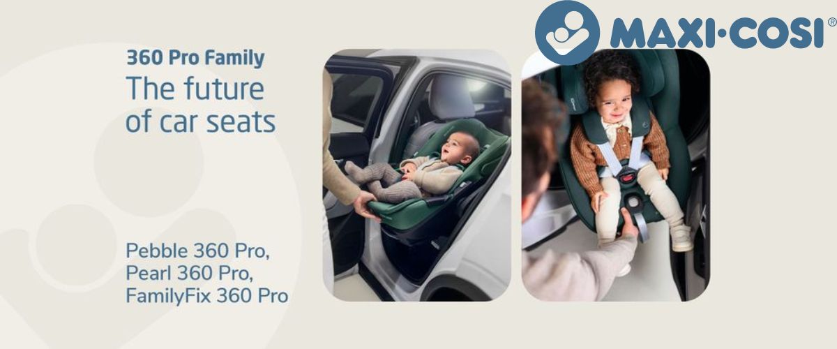 car seat that converts to stroller