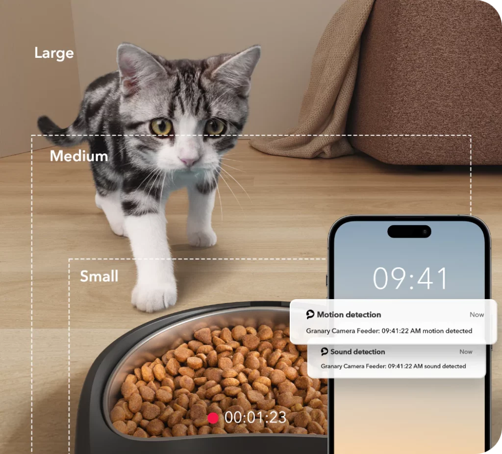 cat camera feeder