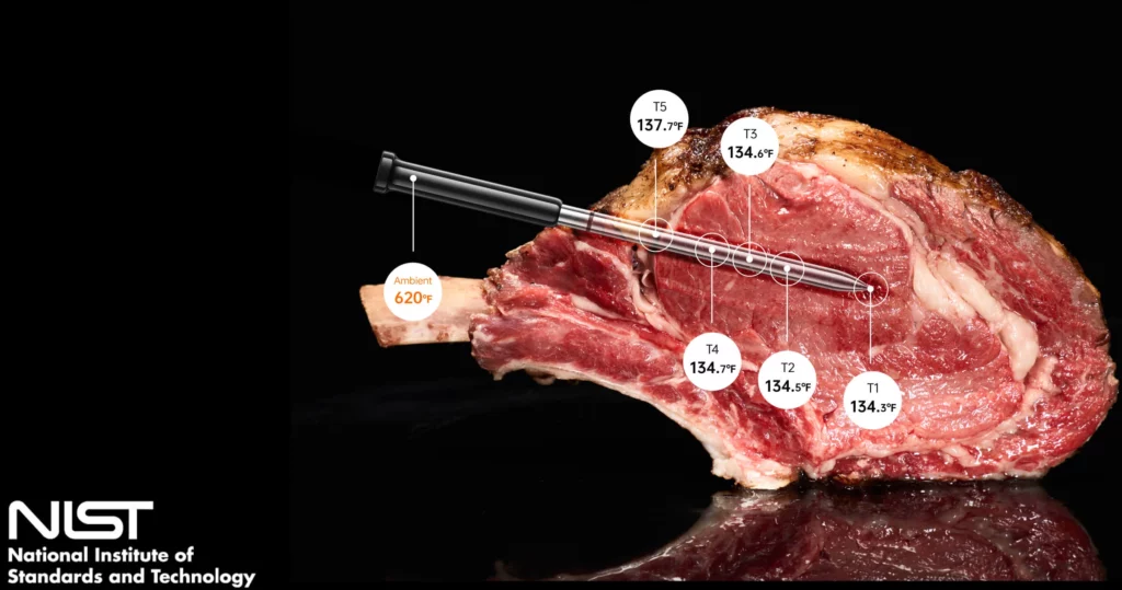 wireless meat thermometer