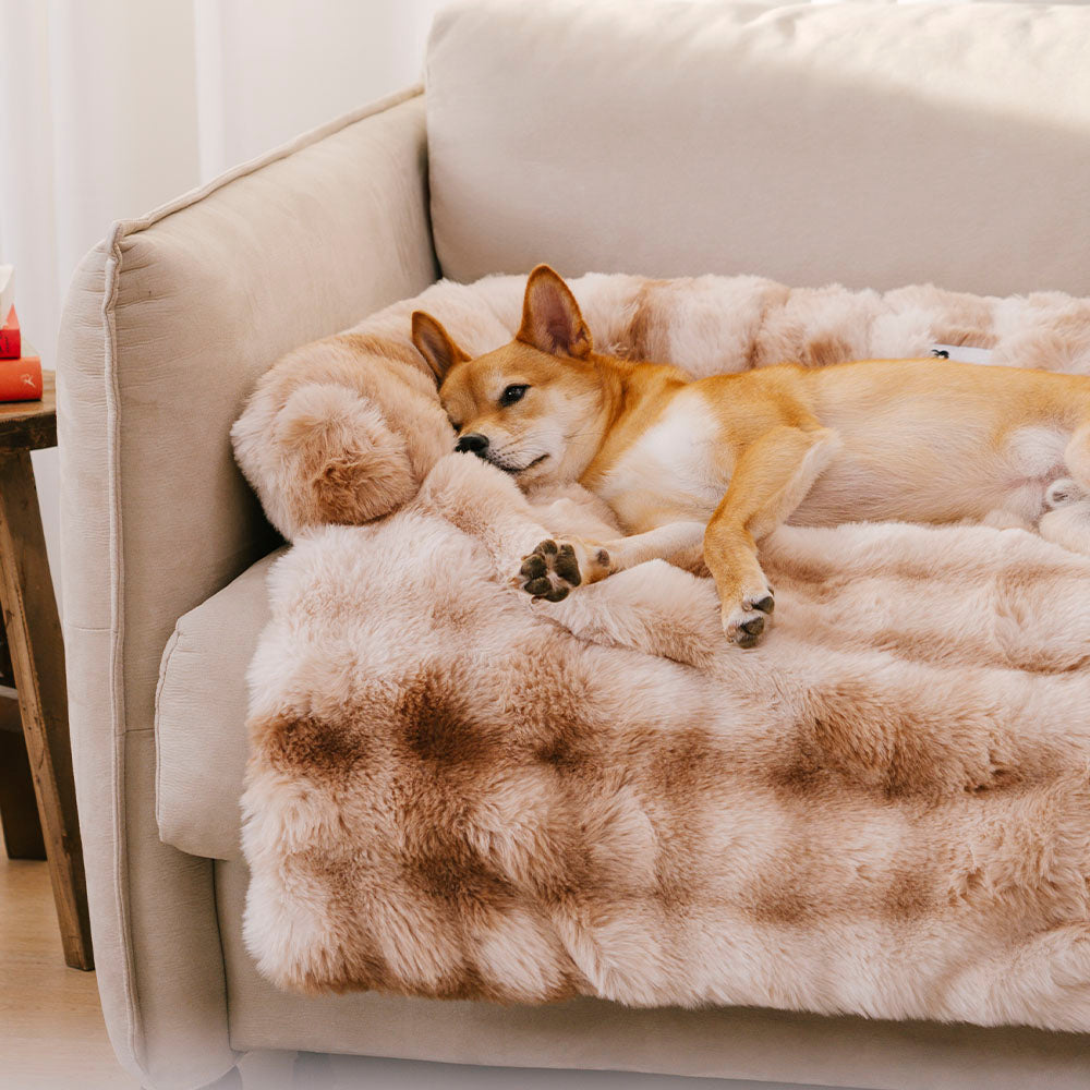 Fluffy Fuzzy Calming Dog Bed Sofa Protector Pet Mat 3 9b7ab263 31b4 4679 bbb5 884d6c7e9c81
