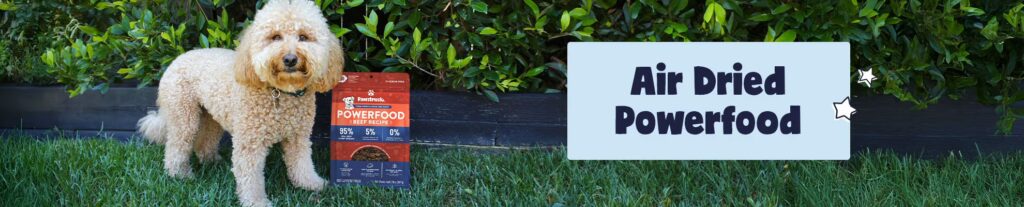 pet tracker