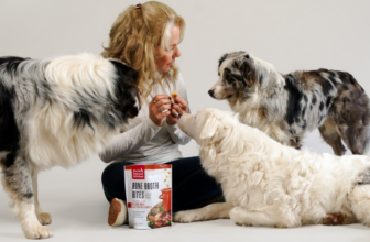 The Honest Kitchen dog food