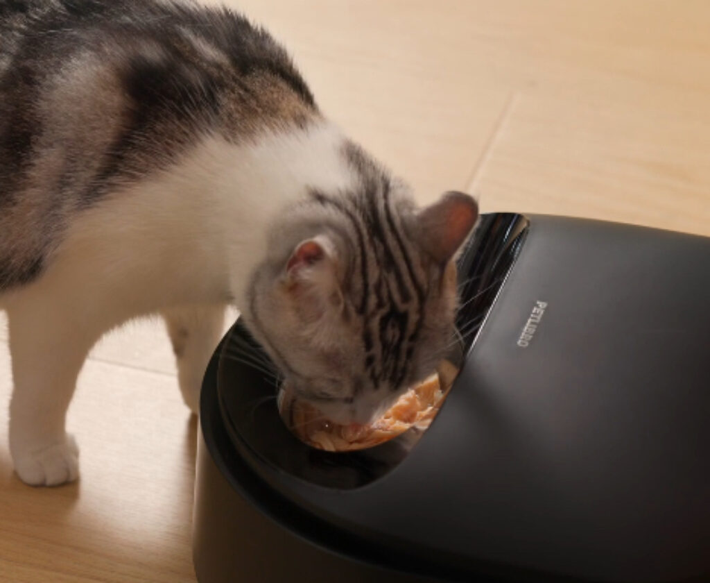 petlibro polar smart wet food feeder