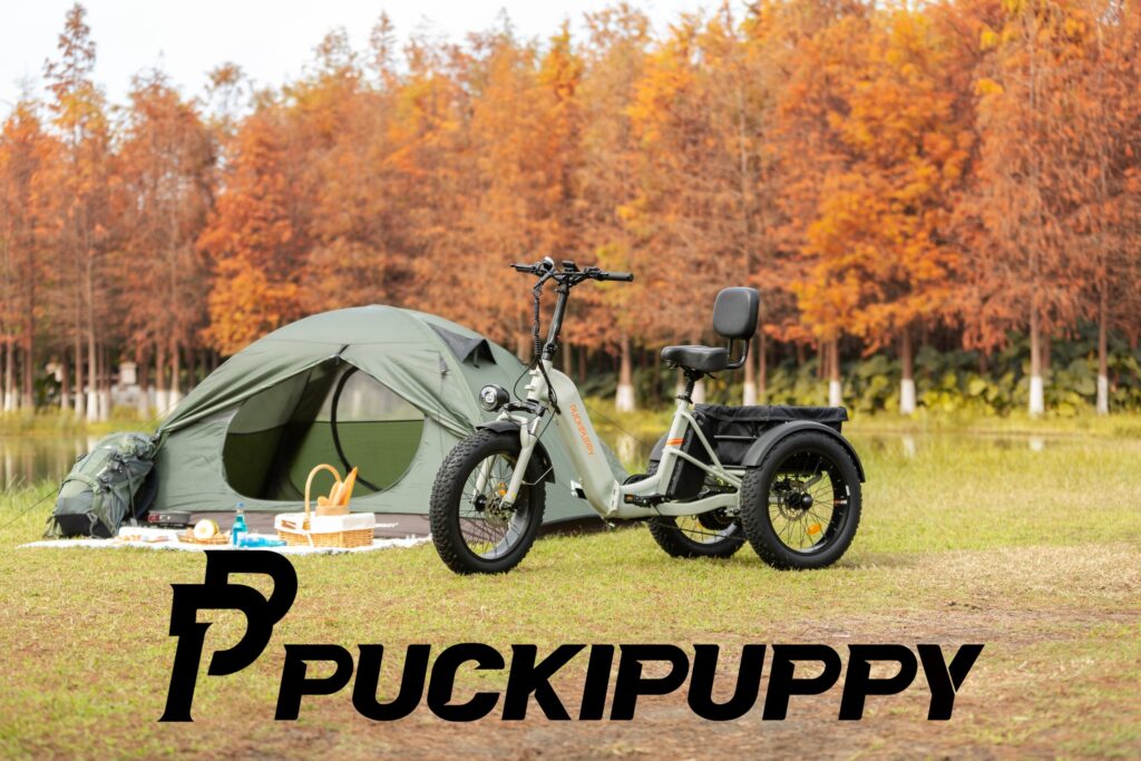 fat tire electric bike review