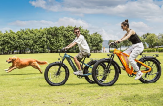 fat tire electric bike review