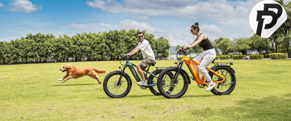 fat tire electric bike review