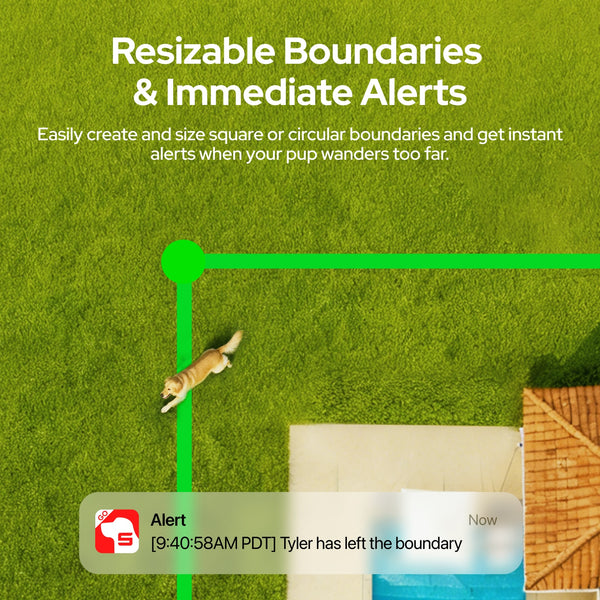 000029bcce97a0698517b7c543608b43 244ad8a3 f329 4b75 9eff 88c75b5d8877