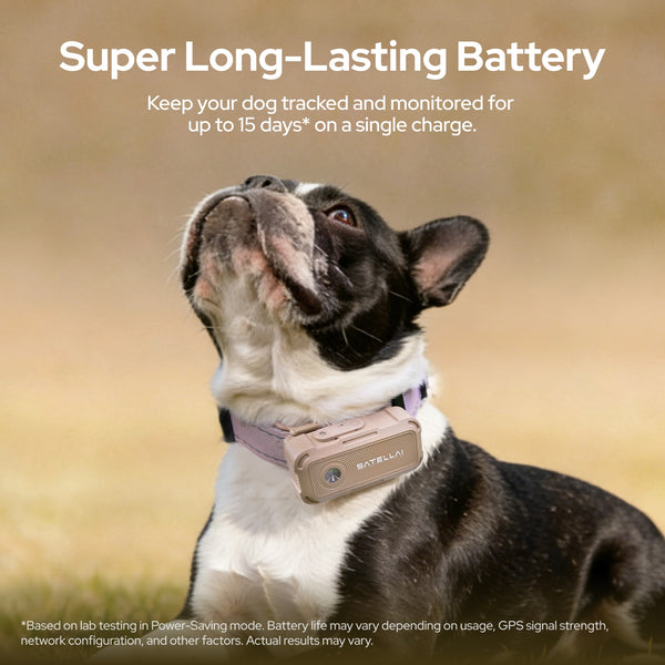 3b101b0989b93b8e8c84662e10c1218e 38d43308 2749 4507 9c73 f8fcb2d1f45b