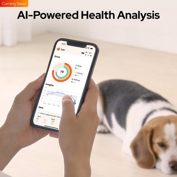 T1 aI 5b95cf44 cfaf 4e1c b584 d8cb74eb2ae5