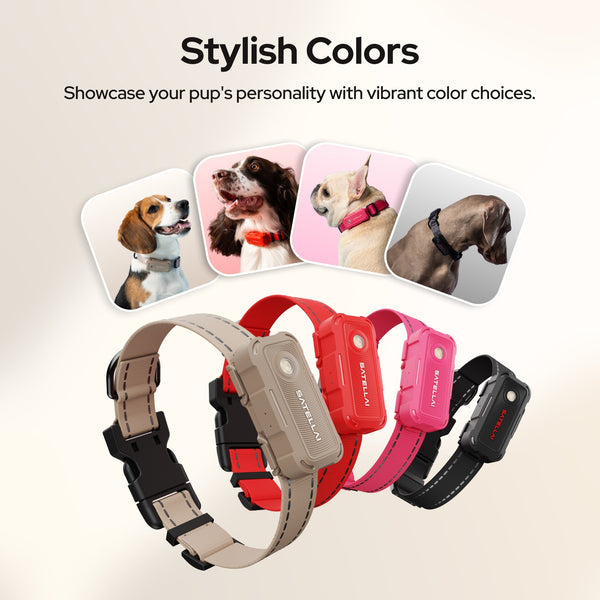 ba9891d7fbc664be1843f5d66a5012d9 d8530b66 7542 4055 9126 9686535ca9fb