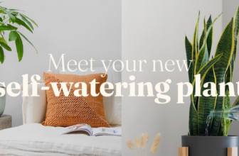 easyplant Review