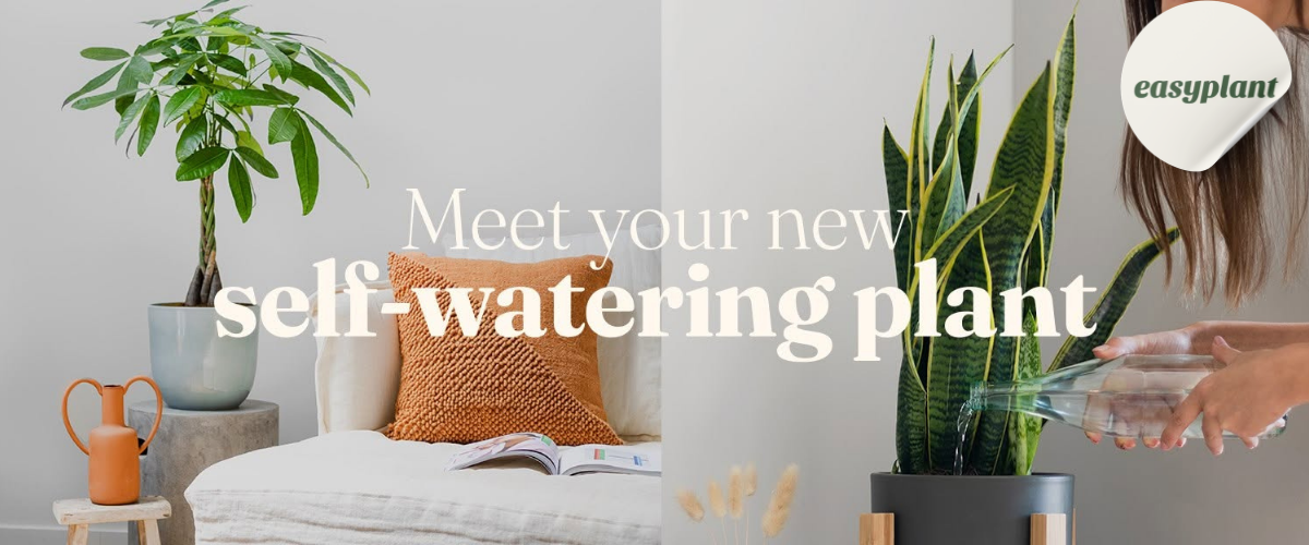 easyplant Review