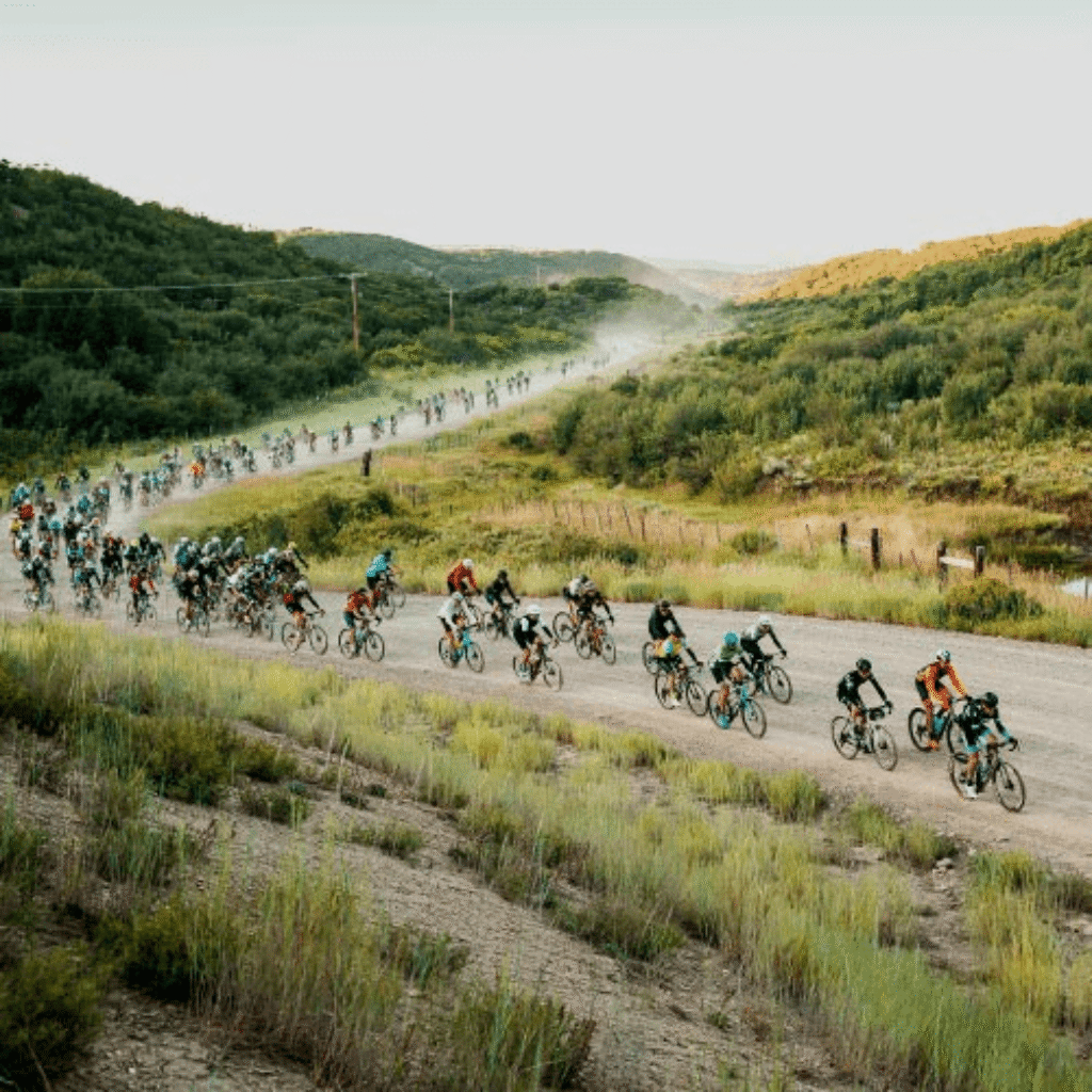 Bikeflights Review