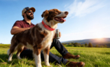 SATELLAI Collar Review: Worth $500 or a Costly Gamble?