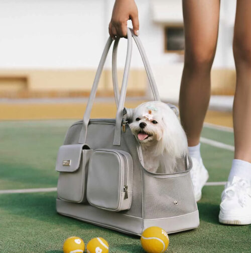 Lightweight Breathable Mesh Safe Pet Carrier 