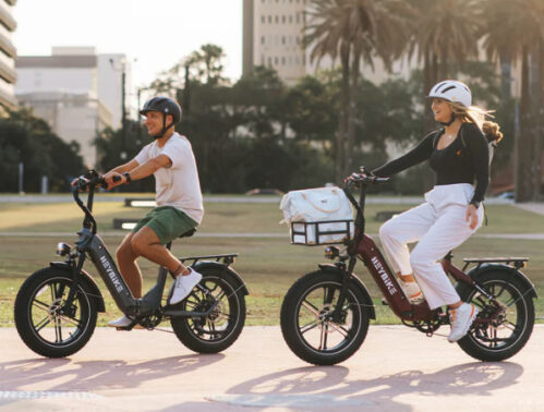 Powerful Folding Ebike