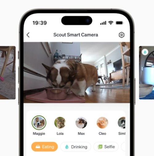 Scout Smart Pet Camera