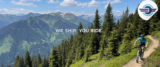 Bikeflights Review: Is Bike Shipping Finally Easy?