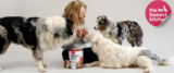 The Honest Kitchen Dog Food: Real Meals for Pets